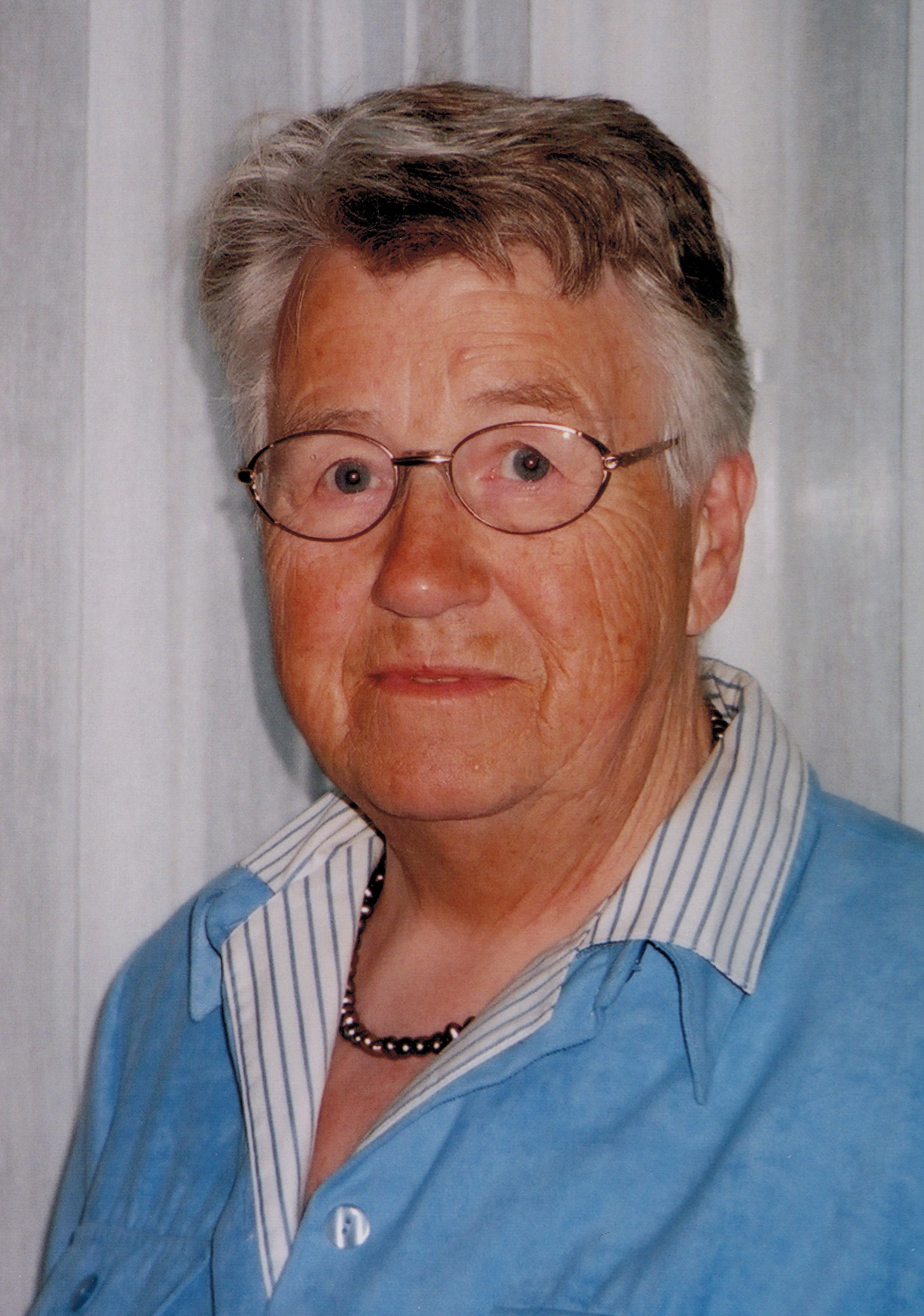 amersfoort aloysa van mini.jpg